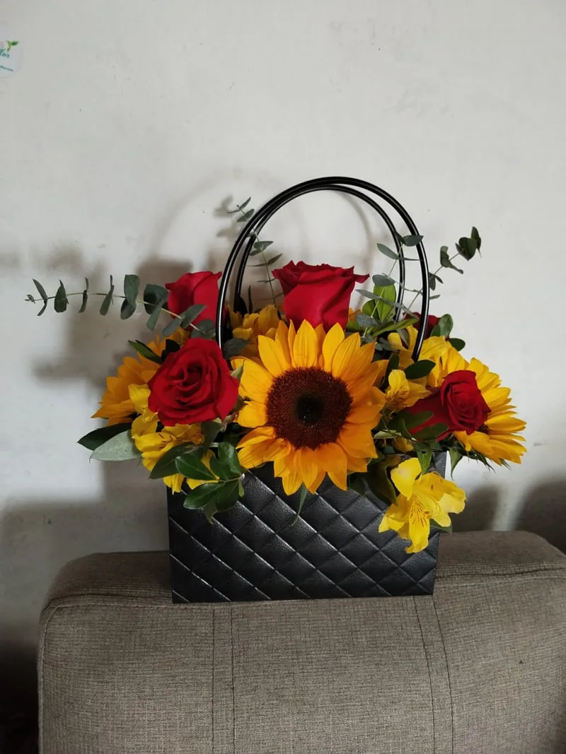 Arreglo En Diseño Cartera